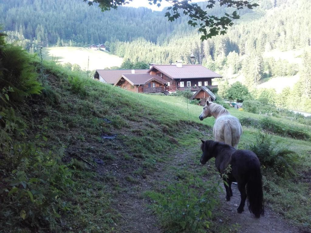 Apartament Neudegghof Eben Im Pongau Zewnętrze zdjęcie