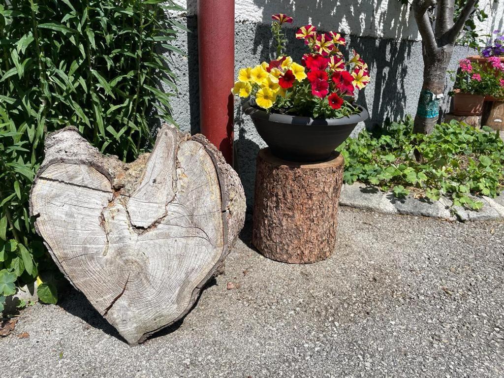 Apartament Neudegghof Eben Im Pongau Zewnętrze zdjęcie